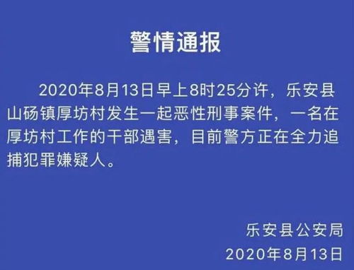 局长家中遇害案，指纹线索揭秘