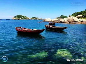 新月岛游戏攻略大全最新(新月岛钓鱼)
