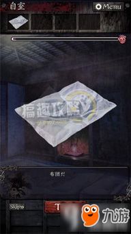 游戏旅馆逃生攻略大全图文(旅馆住宿游戏)