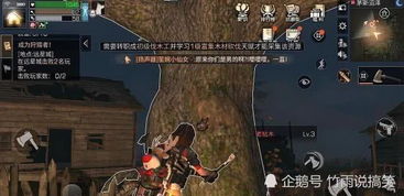 伐木挖金游戏攻略视频大全(伐木挖矿打仗游戏)